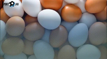 أسعار البيض في كفر الشيخ اليوم السبت.. الأحمر يتصدر بـ5.5 جنيه